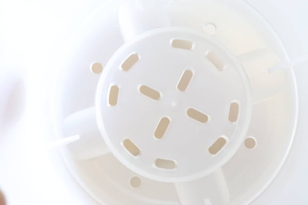 セリアの観察できる植木鉢の底穴