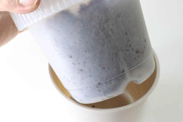 セリア 観察できる植木鉢 セリアの観察できる植木鉢は土の湿り具合を確認しやすい