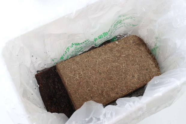 ダイソー　水で増える園芸土 Coco Brick　水で戻す