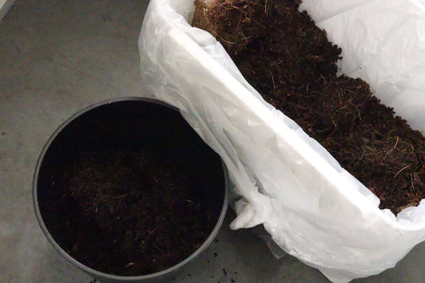 ダイソー　水で増える園芸土 Coco Brick　廃棄