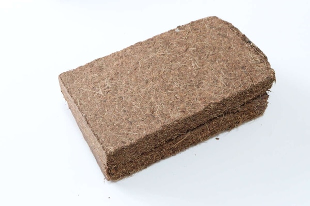 ダイソー　水で増える園芸土 Coco Brick　圧縮土ブロック