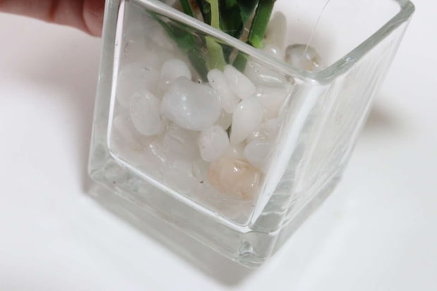 ダイソー　小花ポット　デザイン　小石