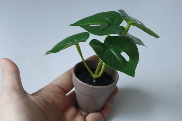 グリーンポット　サイズ感