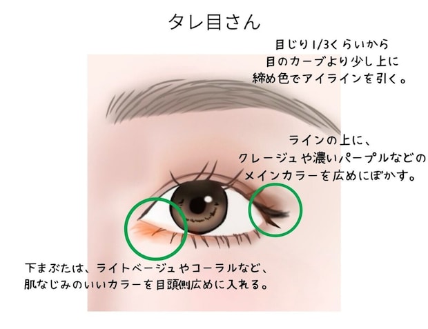 タレ目さん向けアイラインと下まぶたカラーの解説イラスト