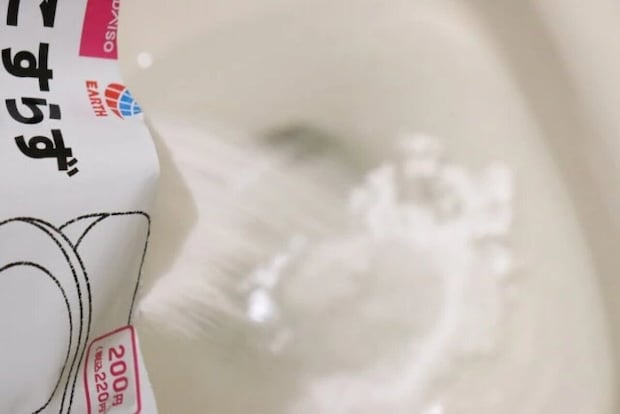 ダイソーの水洗トイレ用洗浄剤の使用例
