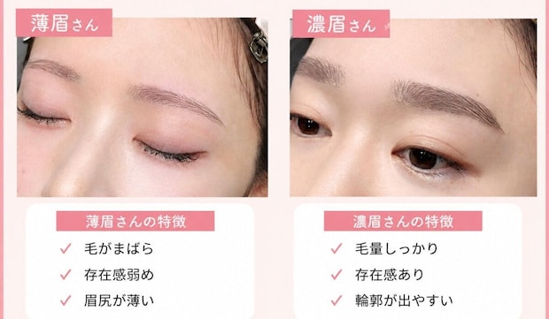 眉タイプチェック 薄眉と濃眉それぞれの特徴を比較