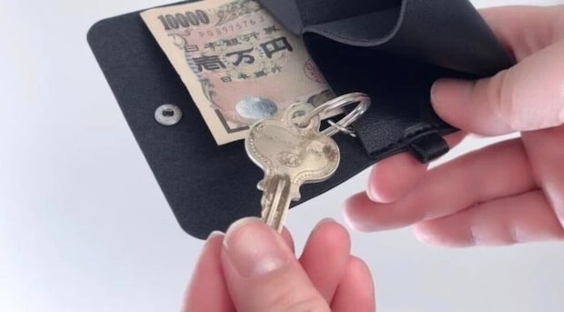 ダイソー　レザー調マルチウォレットケース（キーリング付、ベーシック）　使用例　キーリング
