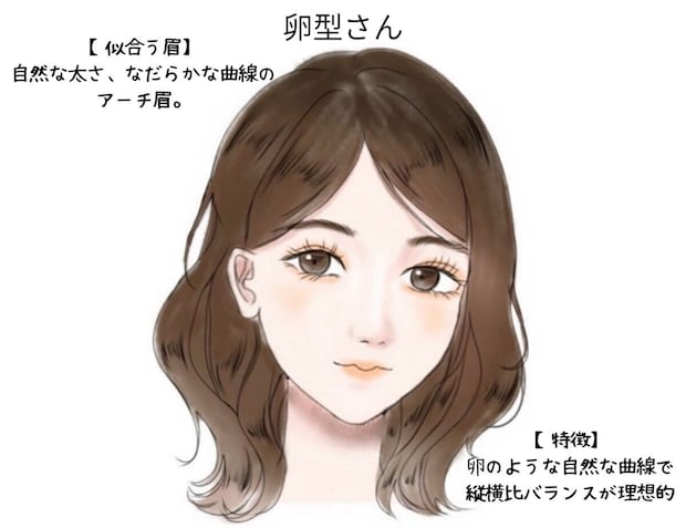 卵型さん向けの自然な曲線のアーチ眉のイラスト