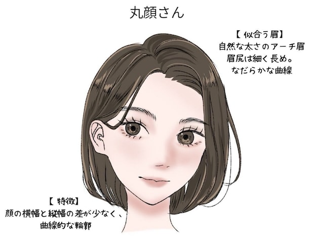 丸顔さん向けの自然な太さのアーチ眉のイラスト 丸顔さん向けの自然な太さのアーチ眉のイラスト