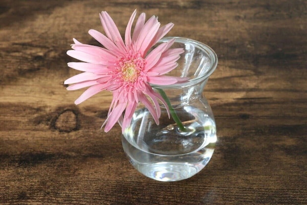 ダイソー セパレート花瓶 使用例 ダイソー セパレート花瓶 使用例