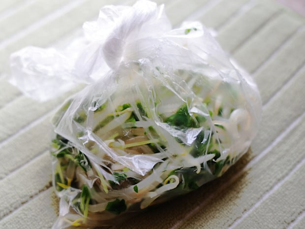 もやしと豆苗を入れて口をねじって閉じた透明なビニール袋。緑のストライプの布の上に置かれている