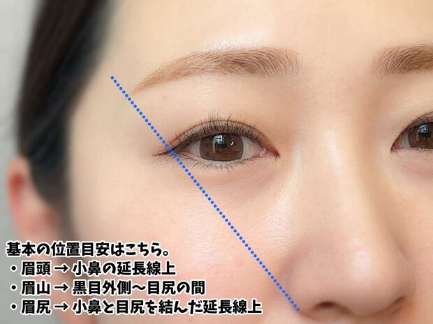 眉頭・眉山・眉尻の基本位置を青い点線で示した目安 眉頭・眉山・眉尻の基本位置を青い点線で示した目安