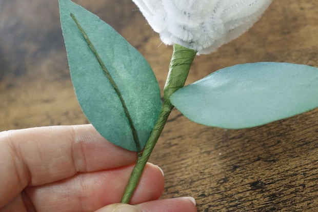 モールフラワー　茎部分