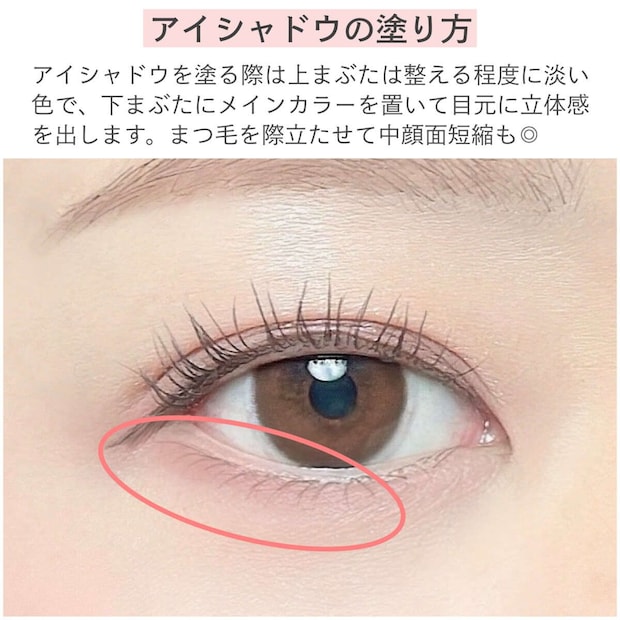 下まぶた目尻にメインカラーを入れるアイシャドウの塗り方