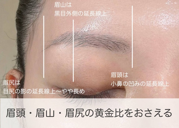 眉頭・眉山・眉尻の黄金比の位置をラインで示した図解