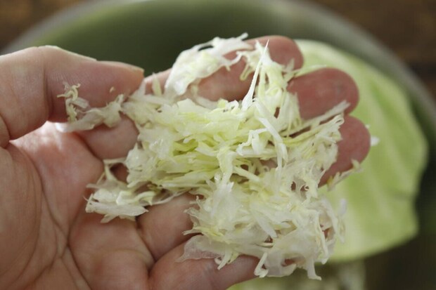 手のひらに乗せられた、薄くスライスされたキャベツ