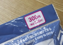 「リュック感覚で使えるって斬新！」持ち運びが楽になる100均新作グッズ