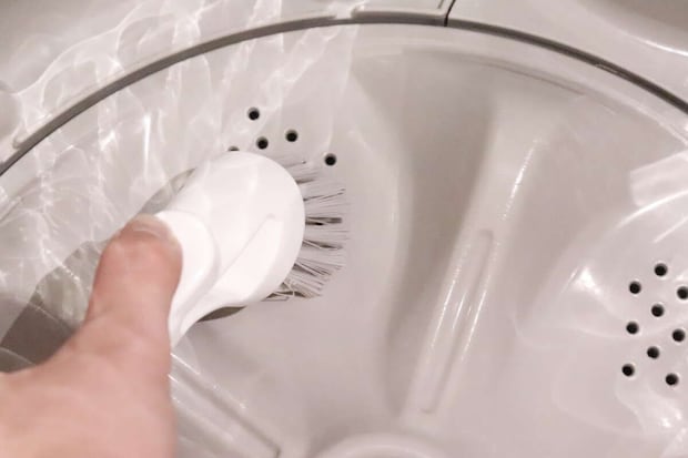 洗濯槽の底面を丸いグレーのブラシで掃除している手元