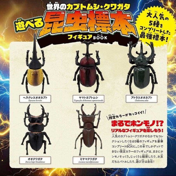 カブトムシとクワガタのフィギュア5種類が並ぶ カブトムシとクワガタのフィギュア5種類が並ぶ
