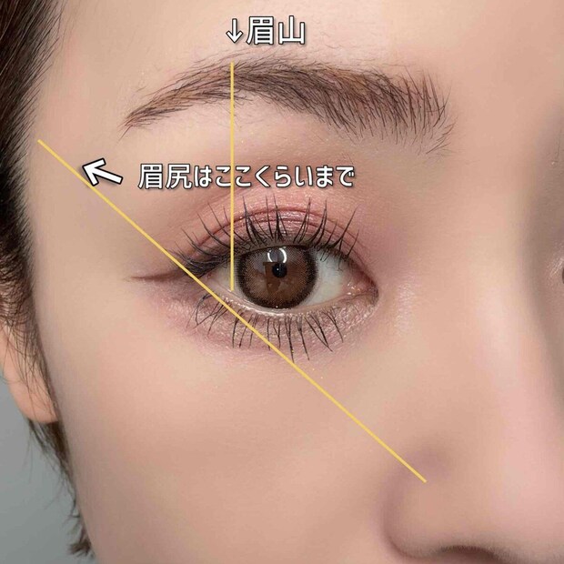 眉山は黒目の外側、眉尻は小鼻と目尻を結ぶ延長線上までの位置