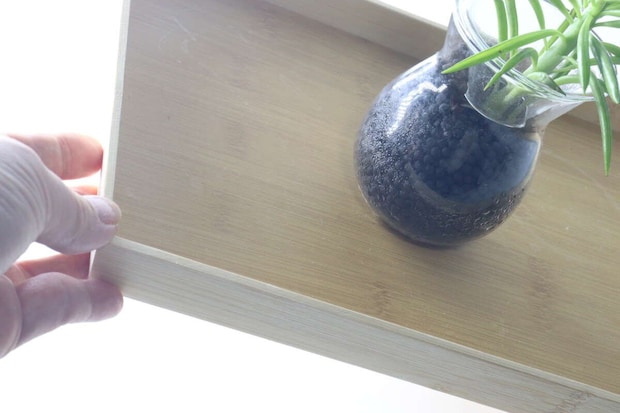 粘着シートで固定された鉢植えを乗せたトレーを傾けている
