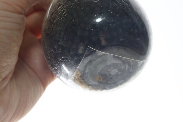 観葉植物の丸い鉢底に透明な粘着ゲルシートを貼っている 観葉植物の丸い鉢底に透明な粘着ゲルシートを貼っている