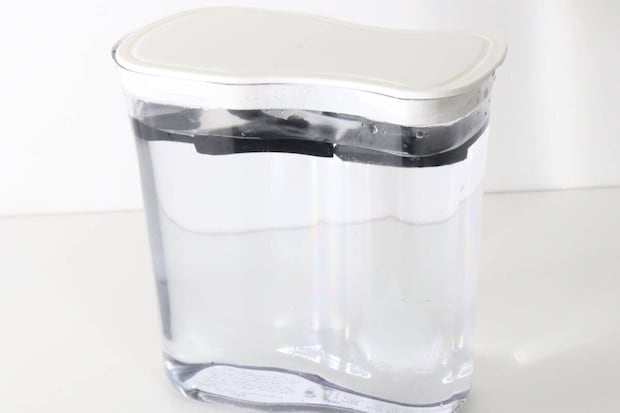 透明なピッチャーに水と竹炭が入っている様子 透明なピッチャーに水と竹炭が入っている様子