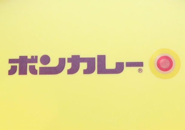 大当たり付録出たよ!1人前にぴったりの実用サイズ♡レトロ可愛いボンカレー皿&スプーンセット