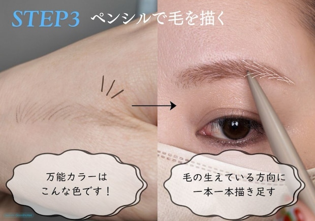 STEP3万能カラーのペンシルで毛の生えている方向に1本1本描き足す
