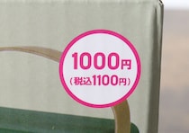 やられた！「こりゃ騙されるわ…」驚いたけど優秀！お洒落な100均の1000円家電