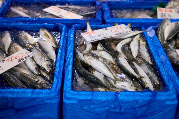 img_oshisupa_013-a-04