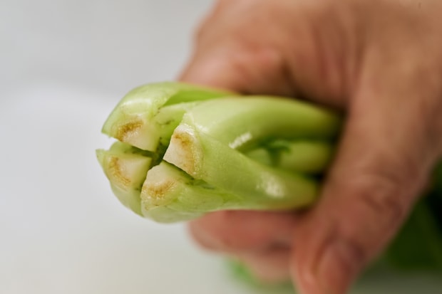 img_seasonalrecipe_ueda004-03