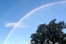 17年前の夏、母になろうと思っていた私へ