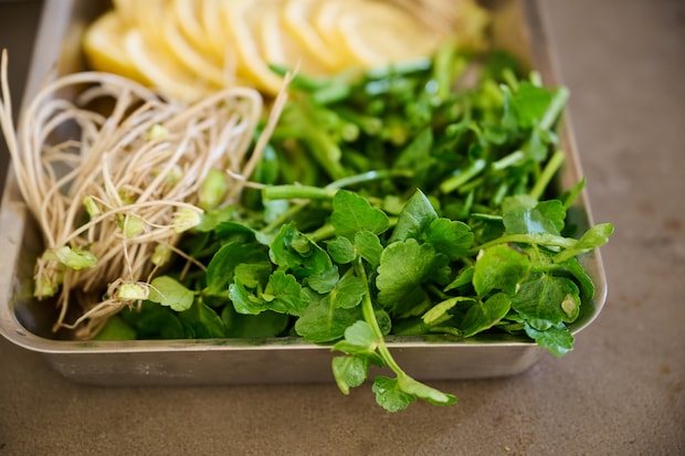 img_watanabemaki-nabe_003-03