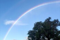 17年前の夏、母になろうと思っていた私へ