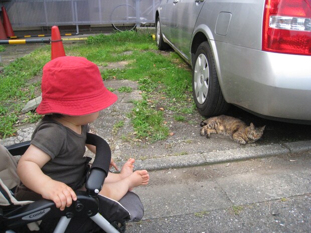 img_kogachikako_001-04