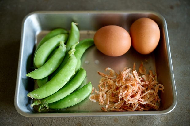 img_watanabemaki-spring_001-02