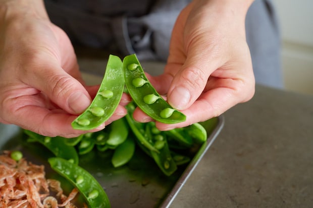 img_watanabemaki-spring_001-03