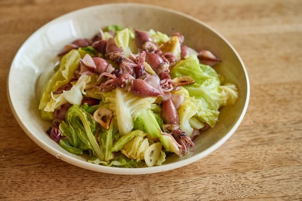 野菜をうまく使い切ろう！市瀬悦子さんの春野菜レッスン「春キャベツ」編