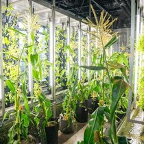 知ることが、こんなに楽しいとは。高輪で出会う「ちいさな地球」