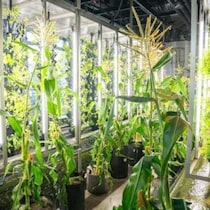 知ることが、こんなに楽しいとは。高輪で出会う「ちいさな地球」