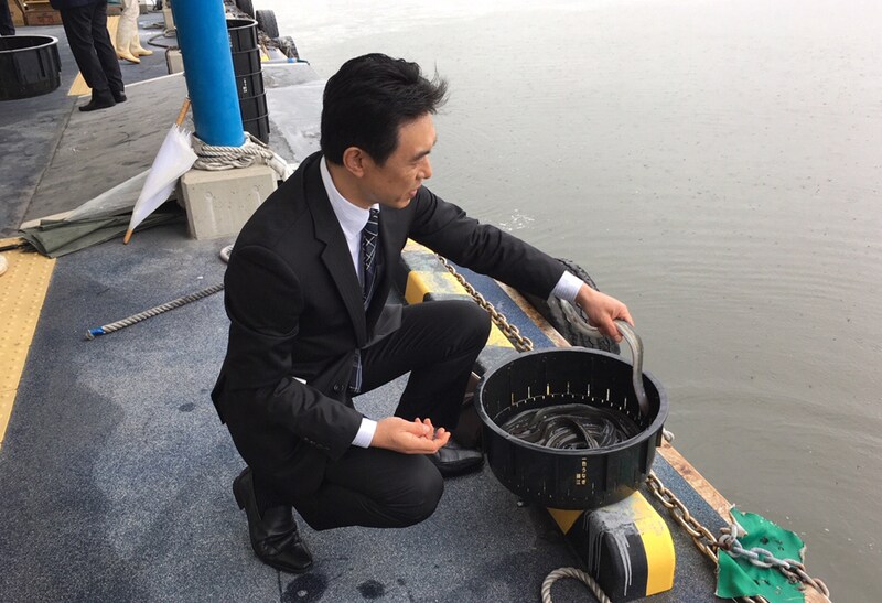 三河一色産うなぎの炭火焼 3尾　日本料理 小伴天　放流