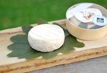 熟成させつつ食べたい！自然放牧のブラウンスイスミルク100％で作る極上チーズ