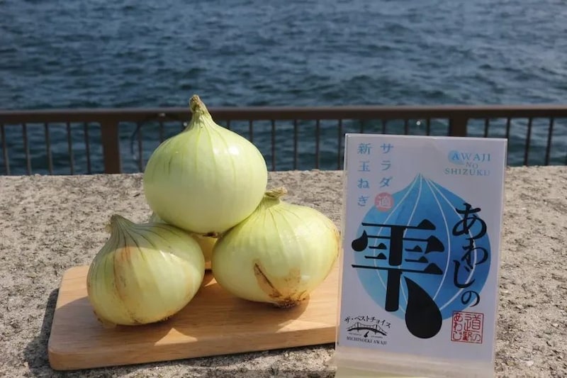 【2026年】毎年即完売！「淡路島の新玉ねぎ」が道の駅あわじ公式通販サイトで販売開始