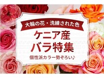 花の卸通販サイト「Flower Smith Market」で、「ケニア産バラ特集」を開催中！
