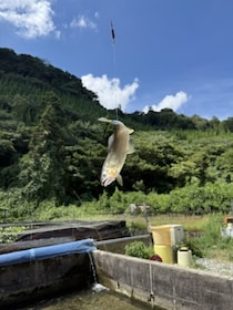 山口県山口市でおすすめ！「鮎の里　鳳翩屋（ほうべんや）」