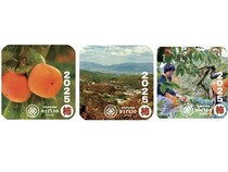 【奈良県五條市】奈良県の農家が抱える課題解決のために。限定10点の「柿の木NFT」を販売