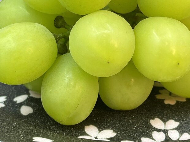 ❶シャイン1-2-3