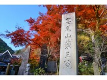 【東京都八王子市】高尾山で環境ワークショップツアー開催！南極観測隊の経験者・山口直子講師と学ぼう