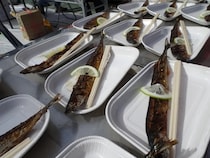 【神奈川県】募⾦をしてくれた人に炭⽕焼きサンマを振る舞う「山安さんま祭り」開催！